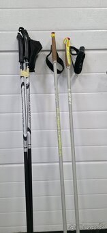 Trekingové palice - 3