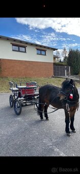 Brička wagoneta - 3