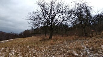 Predám rekreačný pozemok v Hornom Sŕní - 3