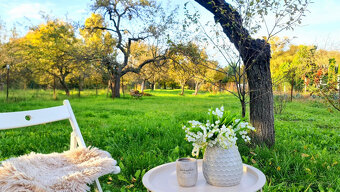 Rodinný dom v Nitrianskom Pravne,pozemok 1611m2+garáž,dielňa - 3