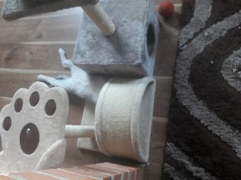 Hotel pre mačky - 3