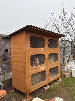 Kralickaren pre zajace - 3