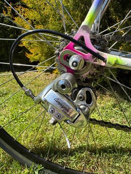 Colnago Tecnos Art Decor - 3