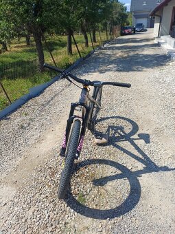 Ctm dirtking - 3