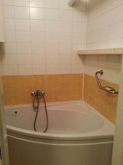 JUH - RIZNEROVA 2 IZBOVÝ TEHLOVÝ BYT 54 M 2 S VLASTNÝM KÚREN - 3