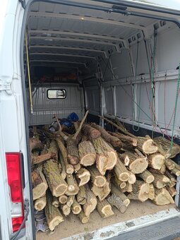 Predám Agátové palivové drevo - 3