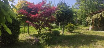 Predám záhradu - 3