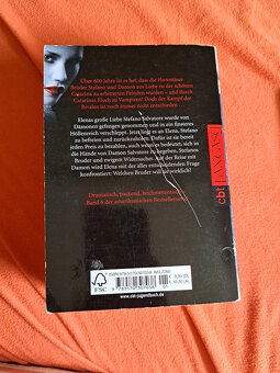 Lisa J. Smith - Tagebuch eines Vamiprs - 3