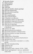 Ivan a Nový - Dionýz Štúr ( ML 1976 ) pekný stav knihy - 3