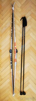 Bežky SABLE + palice SKOL - 3