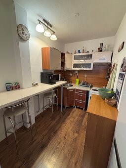 1 IZBOVÝ BYT NA PRENÁJOM - LEVICE - VINOHRADY, ID 561 - 3