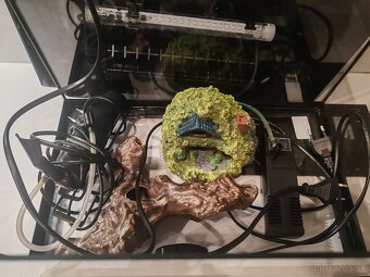 Akvárium Diversa 25L - 3