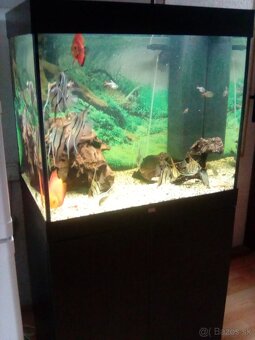 Predám alebo vymením - 3
