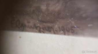 Litografia H.Hanfstaengla. - 3