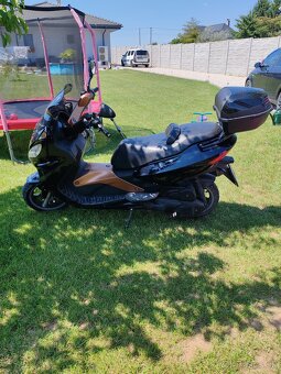Malaguti madison 125 - 3