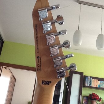 LTD ESP - 3