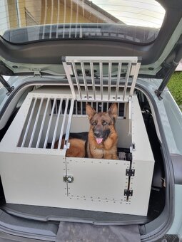 Predam prepravný box do auta - 3