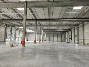 BH REAL ESTATE ponúka na prenájom krásnu novú halu v Senci - 3