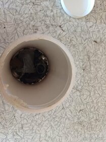 Predaj škoda favorit alebo formán. - 3