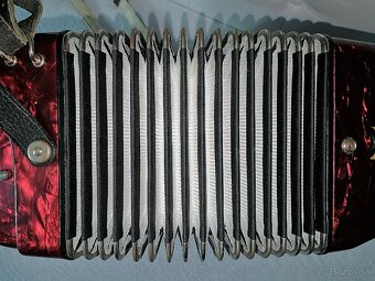 Predam akordeon Delicia Junior 32bas. - 3