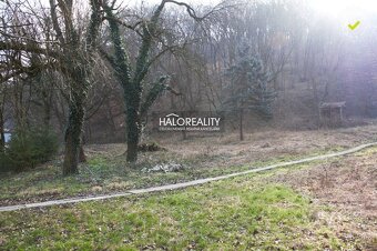 HALO reality - Predaj, pozemok pre rodinný dom 468 m2 Jalš - 3