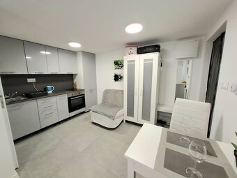 1 izb byt Zlaté piesky s pozemkom 250m2, klimatizácia, elekt - 3