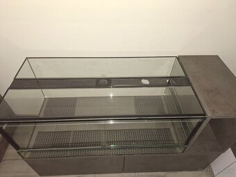 Terarium - 3