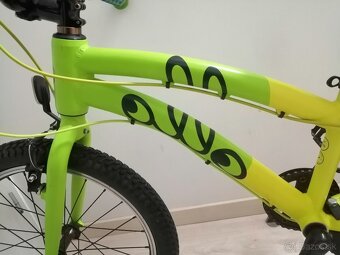 OLLO - 3