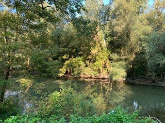 ALL INCLUSIVE | NA PREDAJ REKR. POZEMOK V CHATOVEJ OBLASTI V - 3