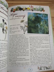 Encyklopedie bylin v češtine - 3