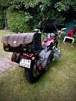 YAMAHA XVS 650 DRAGSTAR - 3