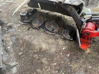 Kuhn 165 - 3