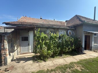 Na predaj – rodinný dom s veľkým pozemkom v Tešedíkove - 3