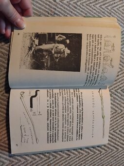 A méhész is szakmunkás - 3