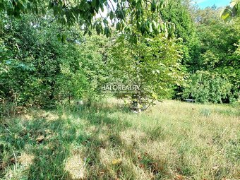 HALO reality - Predaj, záhradný pozemok 494 m2 Handlová - - 3