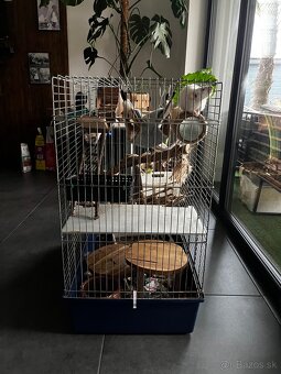 Klietka pre hlodavce - 3