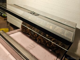 Terárium 60x30x30 - 3