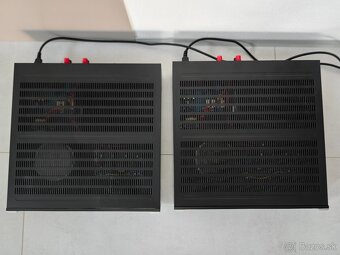 Emotiva 2x UPA-1 MONOBLOKY - 3
