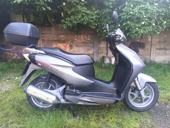HONDA 150 DYLAN - 3