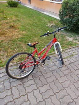 Bicykel Leader Fox Buffalo girl 24" - 3
