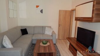 SPEKTRUM REALITY- Na PRENÁJOM komplet rekonštruovaný, zariad - 3