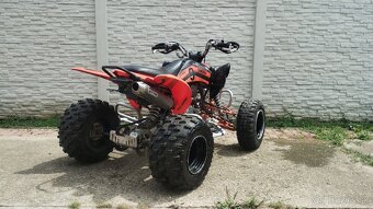Yamaha YFM Raptor 250 SE - 3