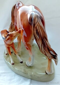 Kobyla a žriebä Royal Dux - 3