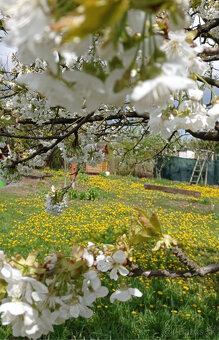 Predám chatu Košice- Konopiská - 3