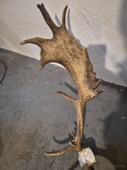 Trofe,parohy,zhody - 3