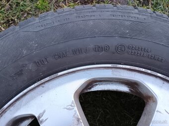 Octavia 1 letna sada - 3