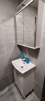 Prenajmem 1 izbovy byt Nova Dubnica - 3