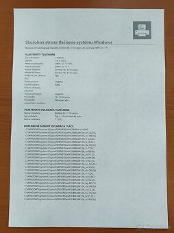 Brother HL-1220E - 3