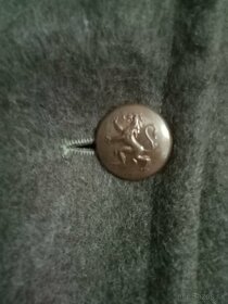 Koprivak belgicko - 3