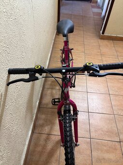 bicykel Ister-dámsky - 3